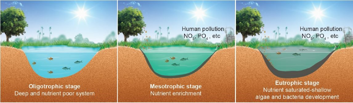 Water bloom, Algal Blooms, Eutrophication & Nutrient Pollution