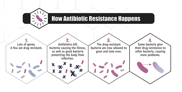 Examples of How Antibiotic Resistance Spreads