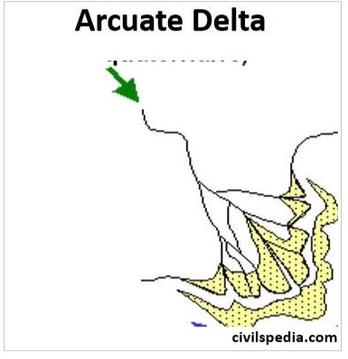 Arcuate Delta