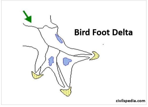 Bird Foot Delta
