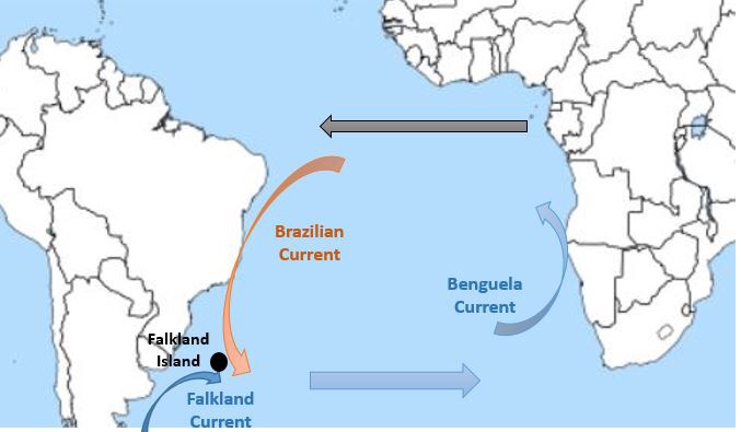Brazilian 
Current 
Benguela 
Current 
I nd 
I and 
Falkland 
Current 