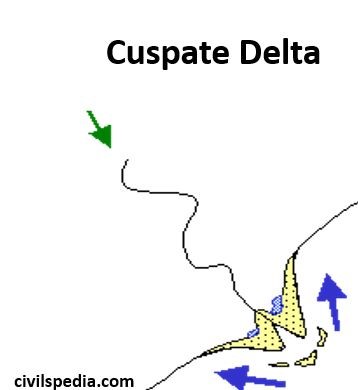 Cuspate Delta