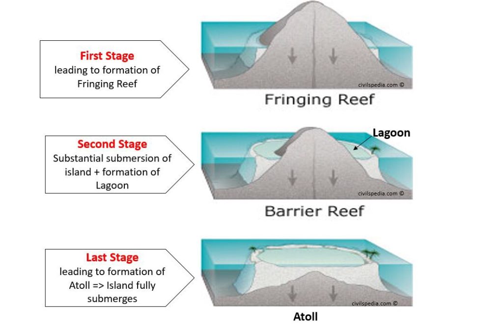 First Stage 
leading to formation of 
Fringing Reef 
Second Stage 
Substantial submersion of 
island + formation of 
Lagoon 
Last Stage 
leading to formation of 
Atoll => Island fully 
submerges 
Fringing Reef 
Barrier Reef 
Atoll 
goon 