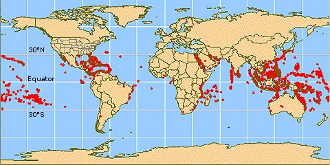 Spatial Distribution of corals in the world 