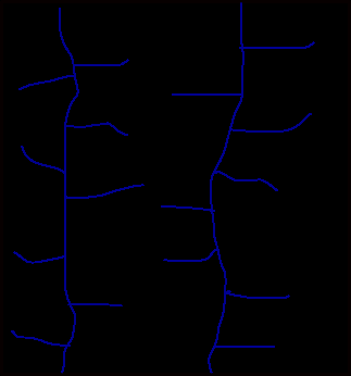 Trellis Drainage Pattern