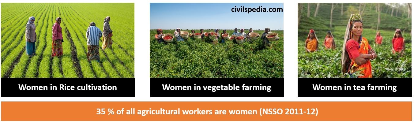 Feminisation of Agriculture