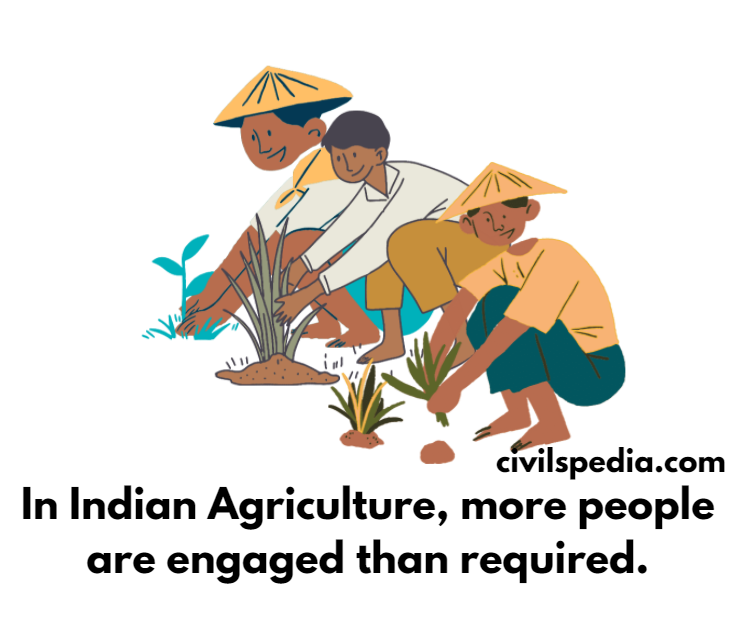 clvilspedia.com 
In Indian Agriculture, more people 
are engaged than required. 