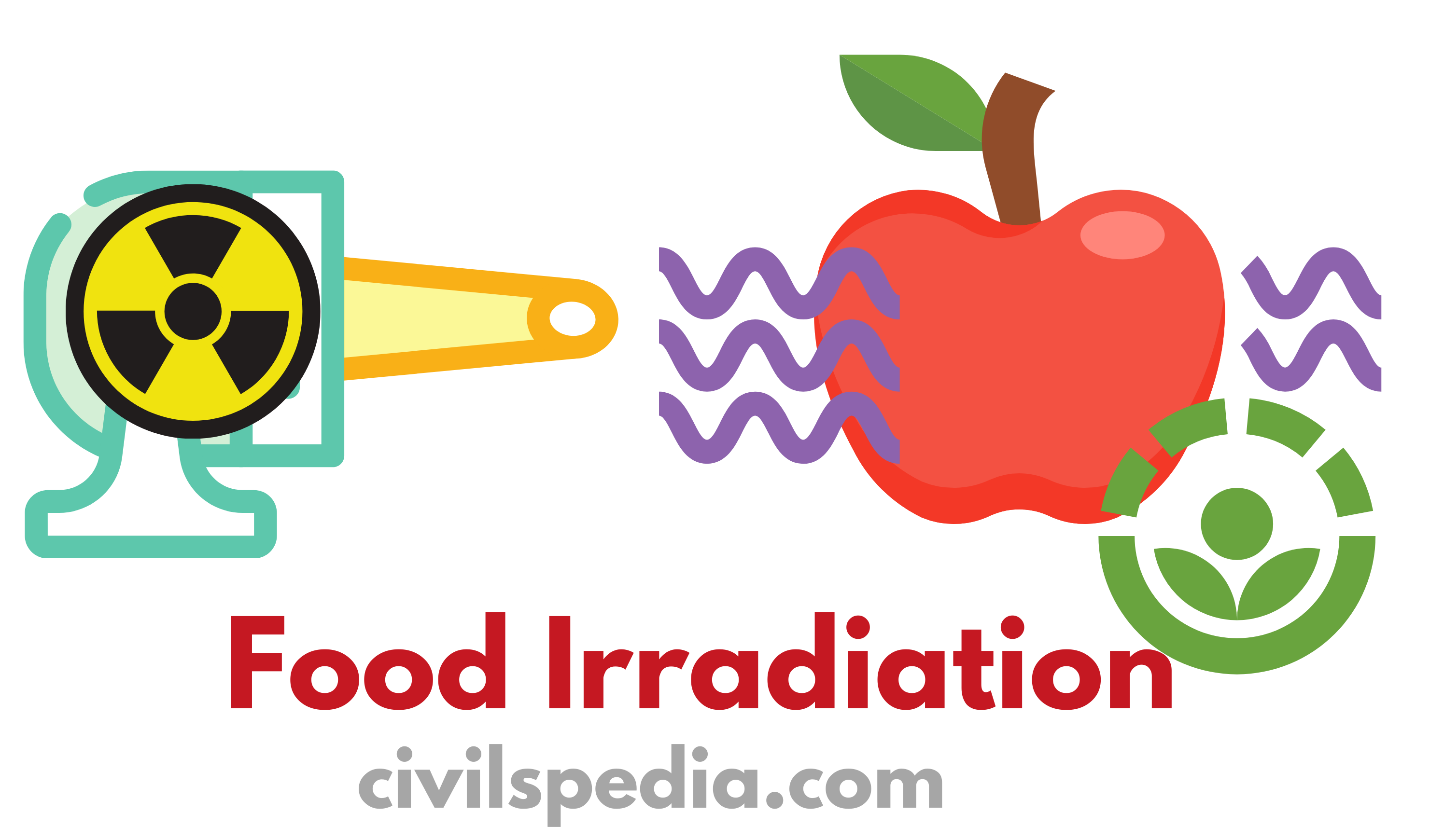 Food irradiation