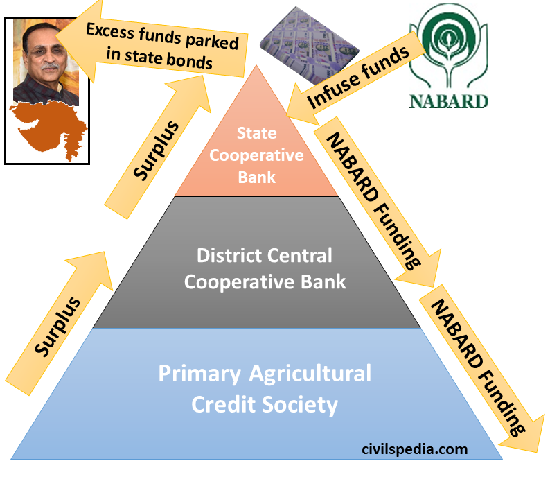 Structure of Rural Cooperative Banks