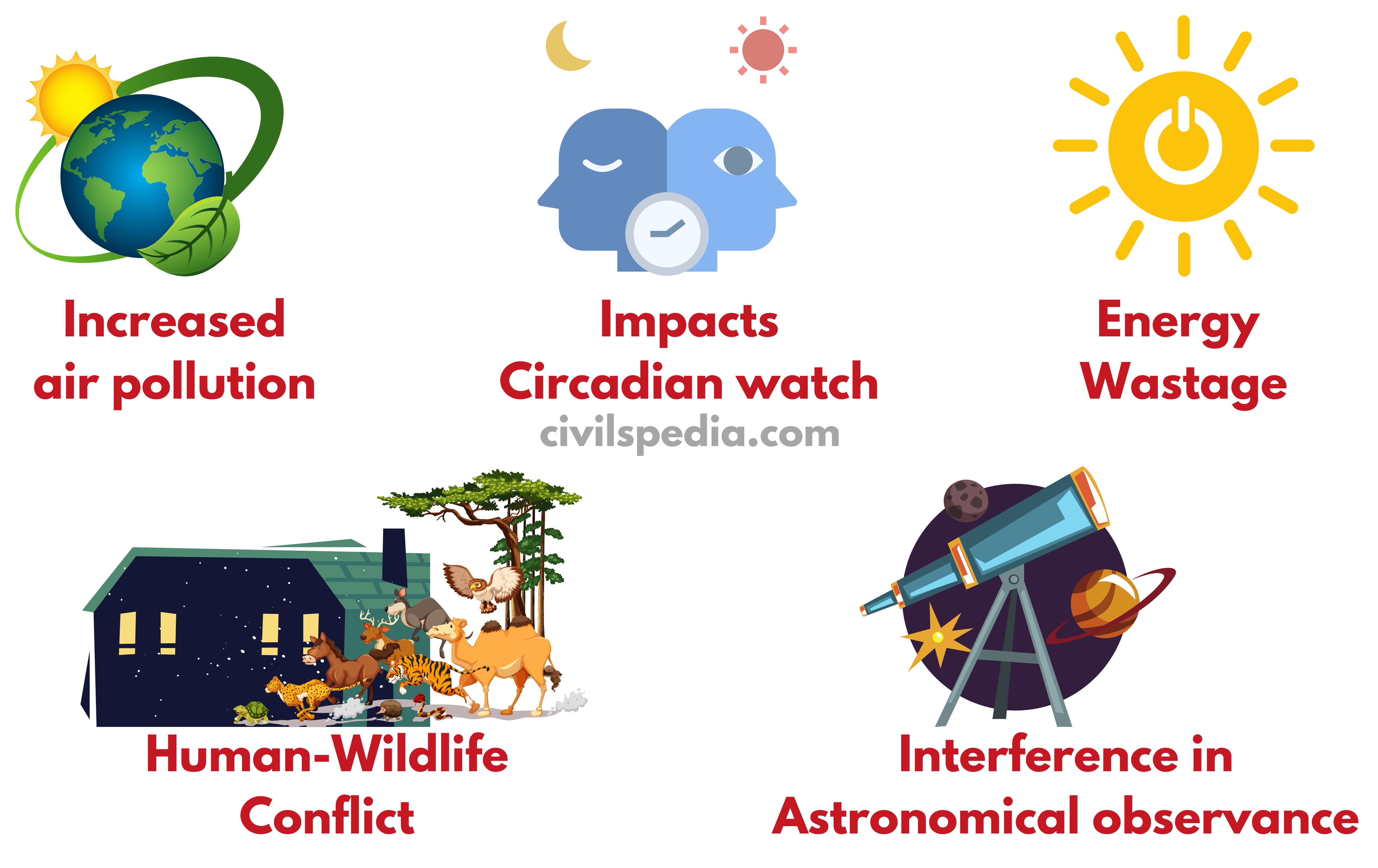 Effect of Light Pollution 