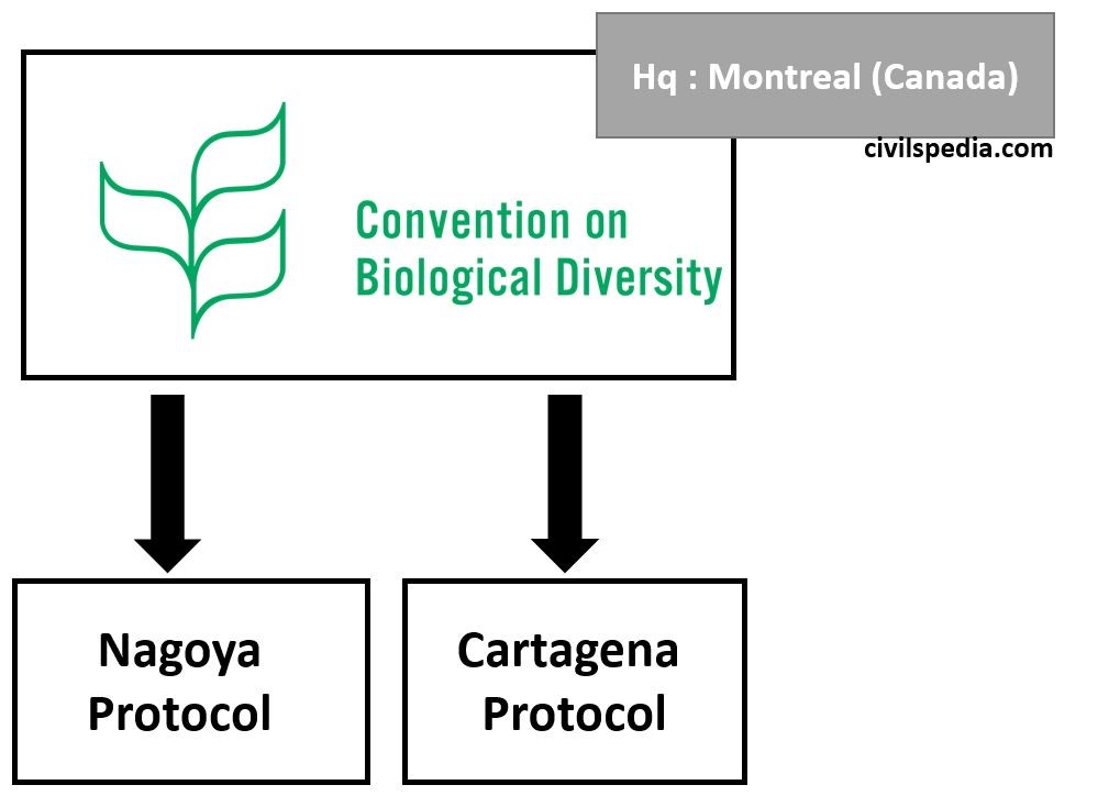 Convention on Bio-Diversity (CBD)