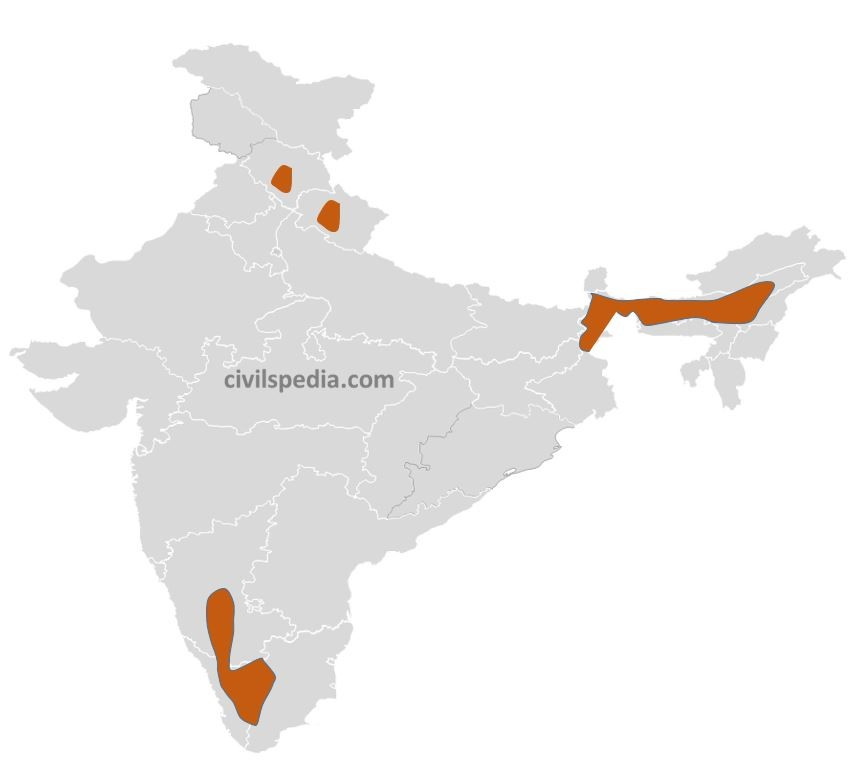 Plantation Crops of India