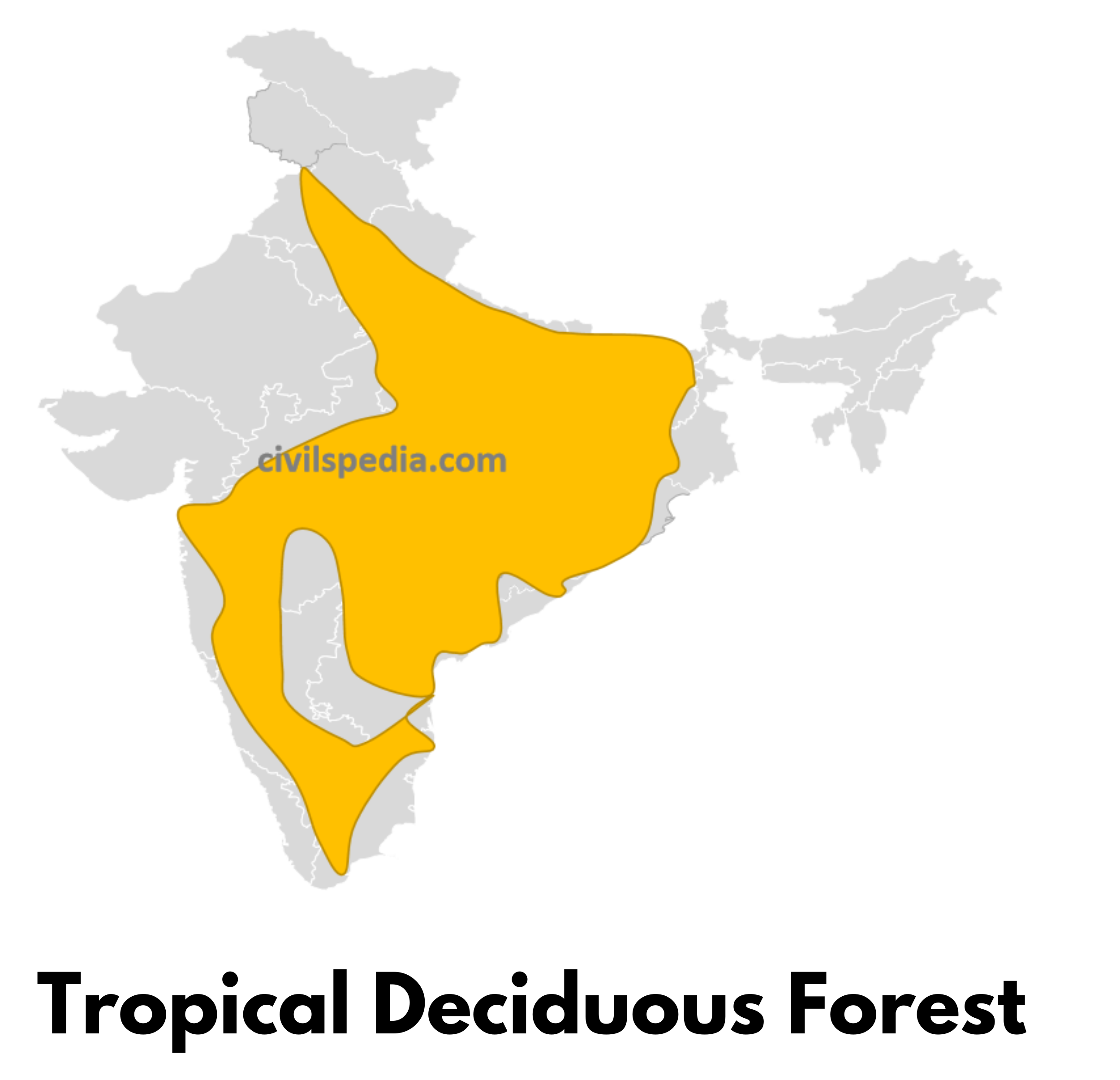 Tropical Deciduous Forest