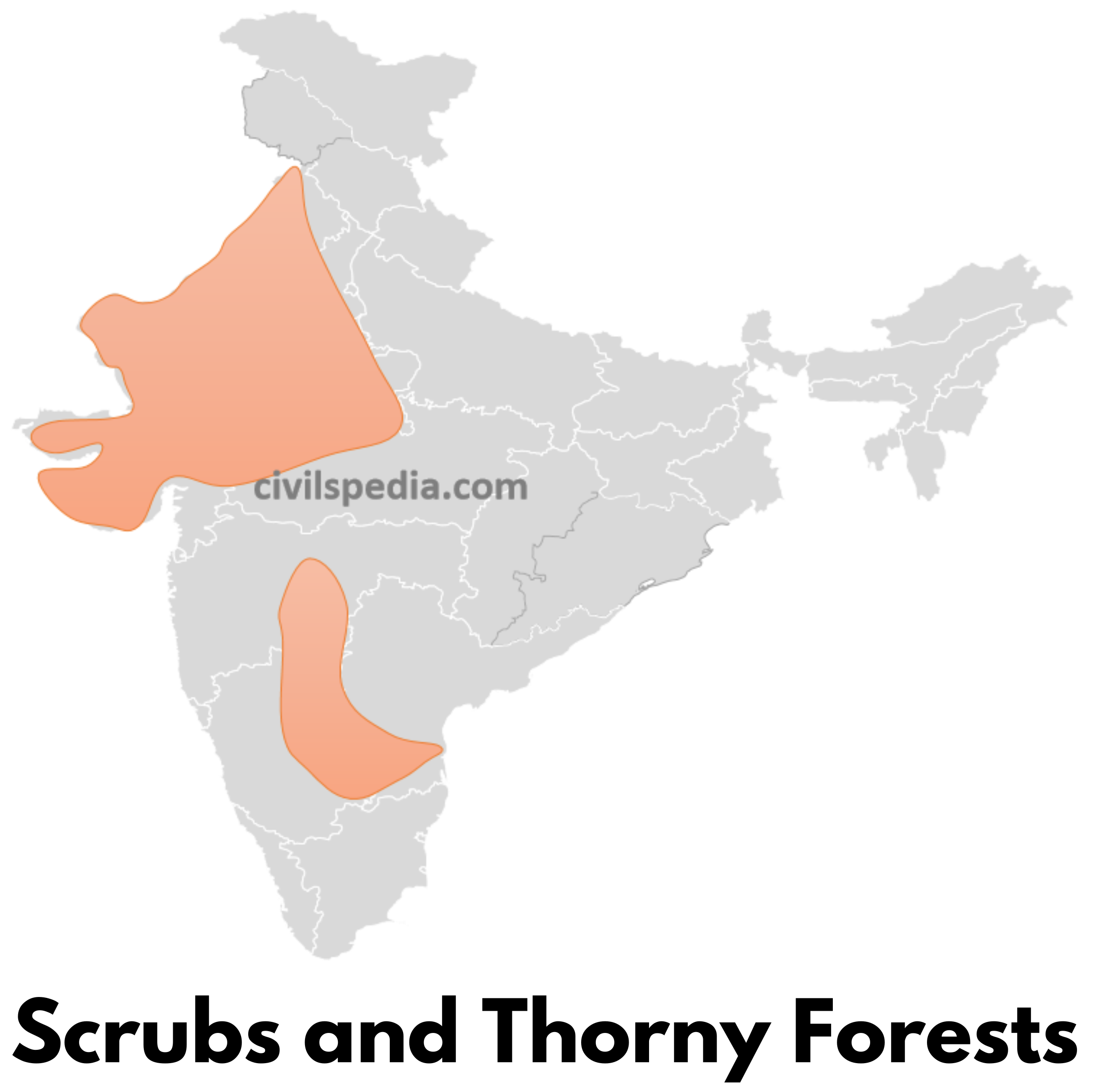 Scrubs and Thorny Forests