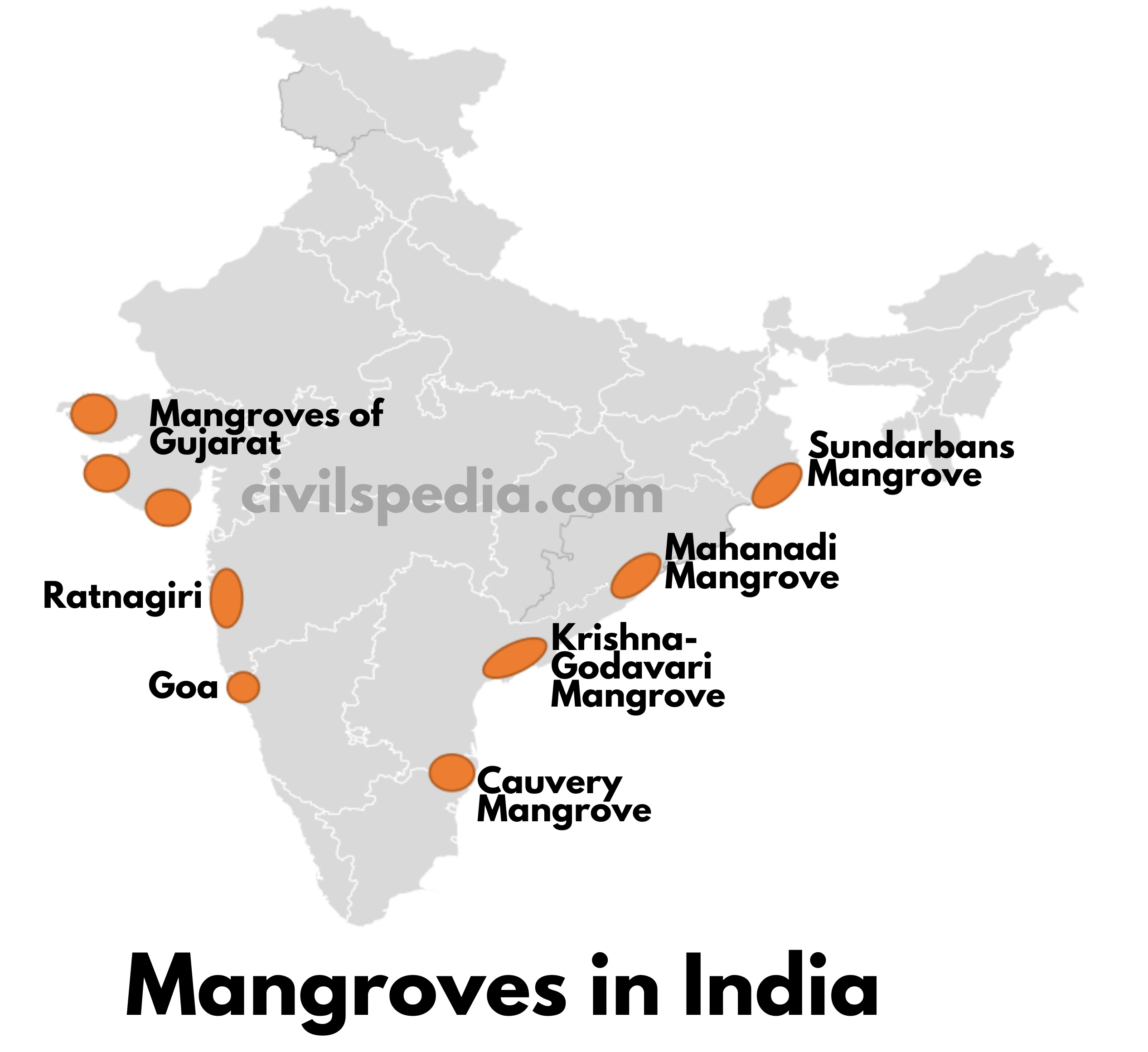 Mangroves in India 