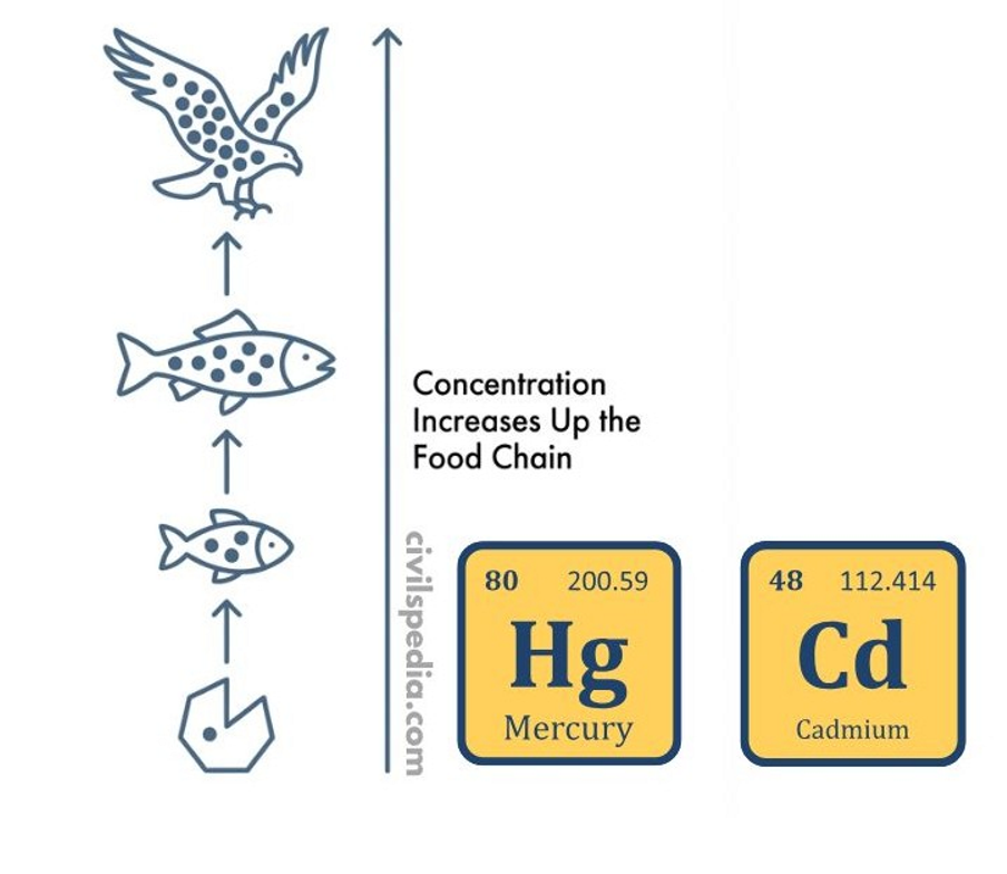 Non-Degradable Pollutants